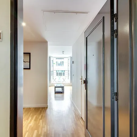 Apartman Champs Elysees George V Id 306 *